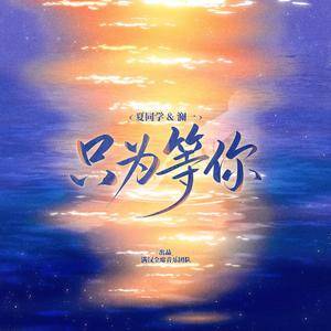 只为等你